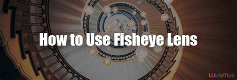 Fisheye Lens – When and How to Get Optimal Fisheye .